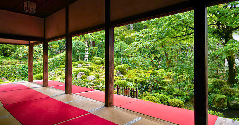「京都・三千院の和室から眺める新緑の美しい苔庭。赤い毛氈が敷かれた畳の部屋から、苔に覆われた庭園と石灯籠が見え、静寂で落ち着いた雰囲気が漂っている。」