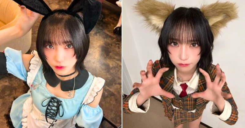 左側：黒いうさ耳をつけ、水色のメイド風コスチュームを着た野口衣織が見上げるようにポーズしている画像。右側：茶色の動物耳をつけたチェック柄の衣装の野口衣織が、手を前に出して猫のようなポーズをとっている画像。