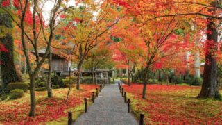 京都三千院の紅葉