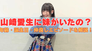 チェック柄の衣装を着た山崎愛生が笑顔でポーズ。画像中央に「山崎愛生に妹がいたの？年齢・誕生日・仲良しエピソードを解説！」という赤とオレンジの大きな文字が重ねられている