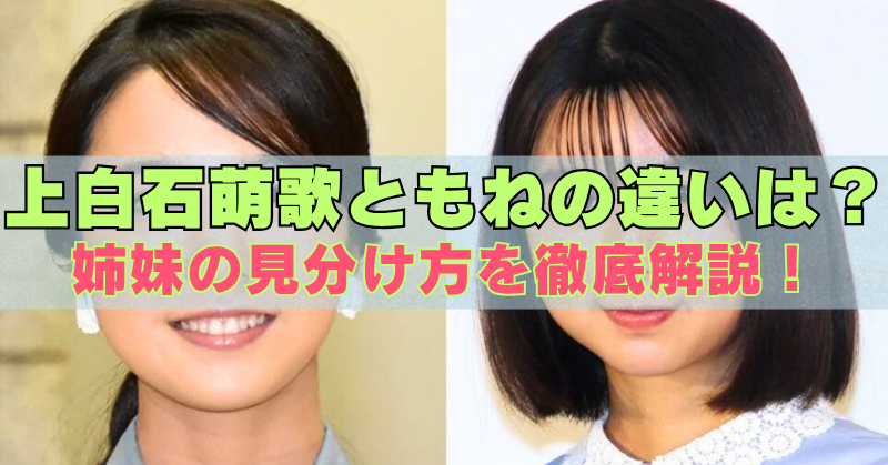 上白石萌歌と上白石萌音の違いを比較した画像。姉妹の見分け方を解説するテキスト入り画像