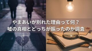 夜の歩道を離れて歩く2人のシルエットと割れたハートのアイコン、右側にノートと虫眼鏡が置かれた机。『やまあいが別れた理由って何？嘘の真相とどっちが振ったのか調査』の文字入りサムネイル