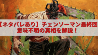 油絵風のタッチで描かれたチェンソーマンのビジュアルの上に、半透明の白帯と赤文字で「【ネタバレあり】チェンソーマン最終回 意味不明の真相を解説！」と大きく配置されたアイキャッチ画像。