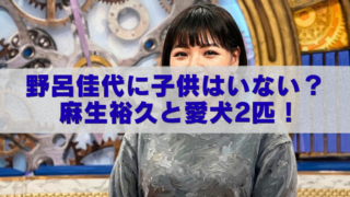 野呂佳代さん風の女性が歯車モチーフの背景の前に立ち、中央に「野呂佳代に子供はいない？麻生裕久と愛犬2匹！」と大きく青字で入ったブログ用アイキャッチ画像