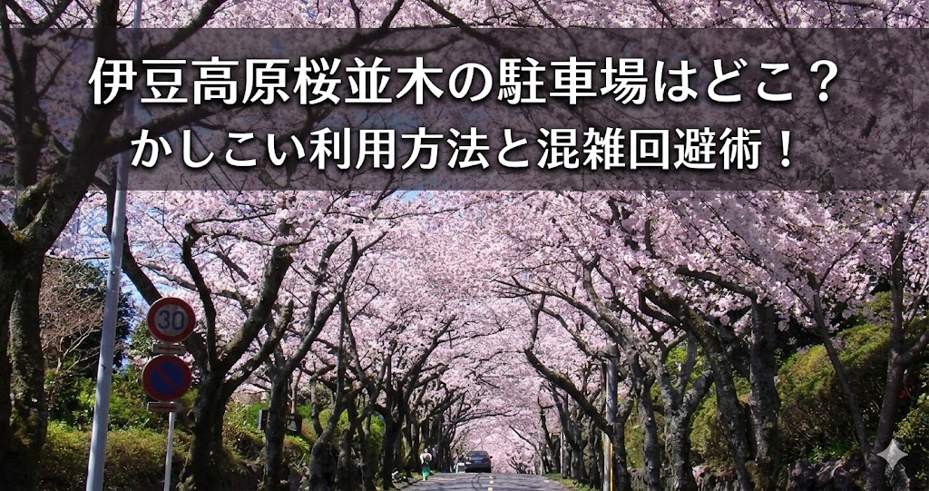 伊豆高原の桜並木がトンネルのように道路を覆う春景色に、「伊豆高原桜並木の駐車場はどこ？ かしこい利用方法と混雑回避術！」という白文字タイトルを重ねたアイキャッチ画像