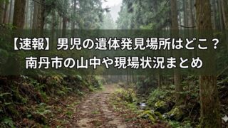 霧がかった杉林の山道を背景に、中央の半透明の黒帯に白い大きな文字で「【速報】 男児の遺体発見場所はどこ？ 南丹市の山中や現場状況まとめ」と2行で配置したニュース風バナー画像。
