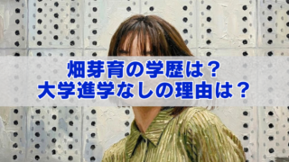 白い半透明の帯の上に青い太字で「畑芽育の学歴は？ 大学進学なしの理由は？」と書かれたブログ用アイキャッチ画像。背景はドット模様の壁の前に立つ女性の油絵風ポートレートで、人物の顔は文字帯で一部隠れている。