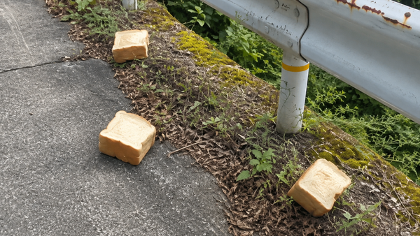 廃棄された食パン